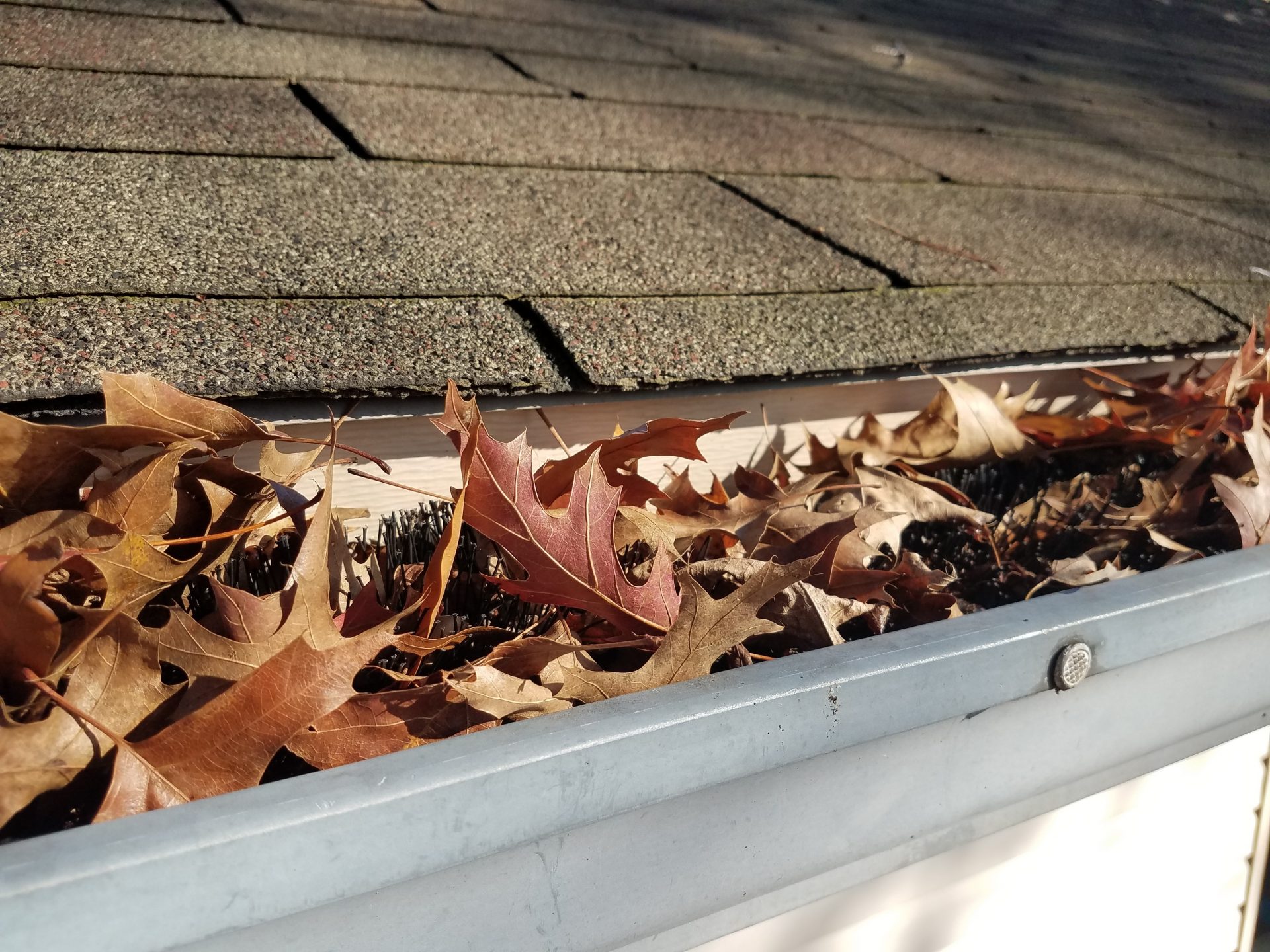 Clogged gutters full of leaves and debris