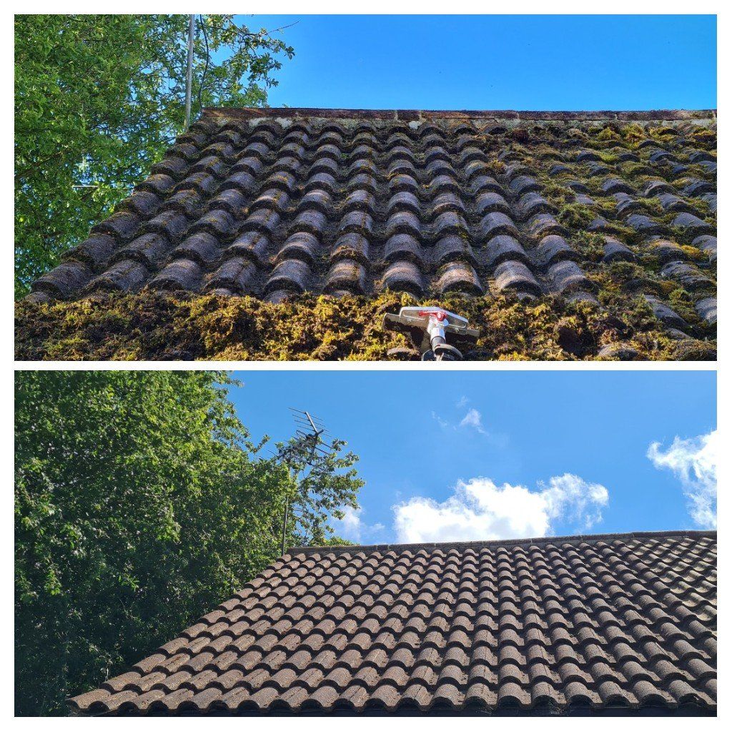 Roof before and after cleaning showing moss removal
