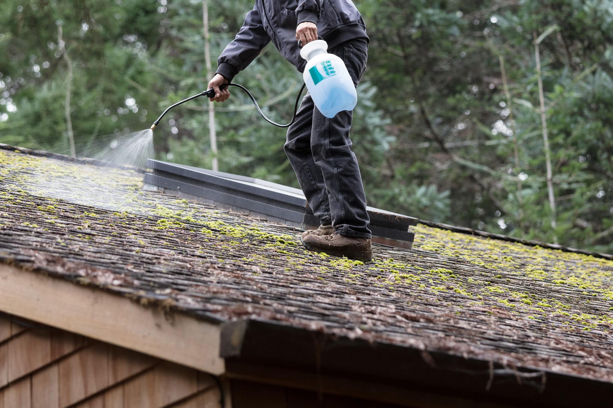 Professional safely cleaning a roof